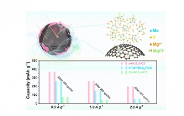 ACS Nano：非晶態(tài) MoS3 錨固在空心碳中作為鎂離子電池的正極材料