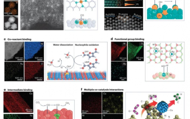 Nature Reviews Materials：單原子電催化劑中的共催化金屬-載體相互作用