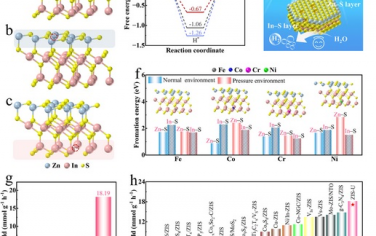 蘇州大學&西北工業大學Adv Mater：應力增強Ni 3d–S 3p軌道雜化提高ZnIn2S4光催化HER