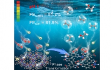 ACS Nano：原位相變金屬有機(jī)骨架在強(qiáng)酸性介質(zhì)中高效將二氧化碳電還原為多碳產(chǎn)物