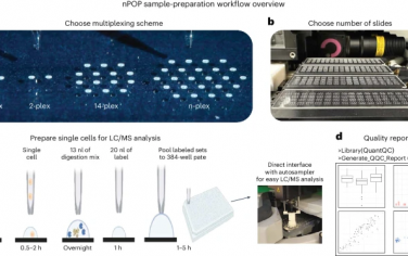 Nature Protocols：使用nPOP進行多路復用單細胞蛋白質組學的大規模并行樣品制備