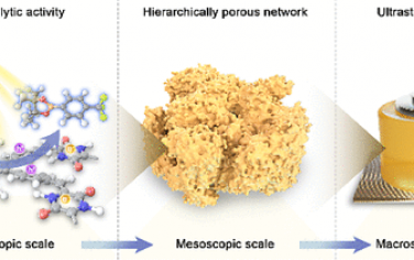 JACS：有機氣凝膠光催化劑