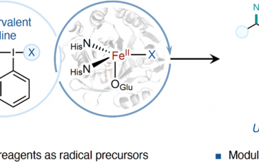 JACS：酶催化烯烴三氟甲基化疊氮化
