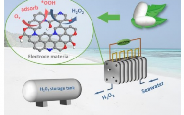 Angew：耐氯腐蝕的納米碳電催化合成H2O2