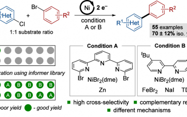 JACS：Ni催化雜芳基氯和芳基溴選擇性親電交叉偶聯(lián)