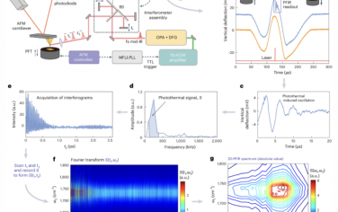 Nature Nanotechnology：基于原子力顯微鏡的時域二維紅外納米光譜