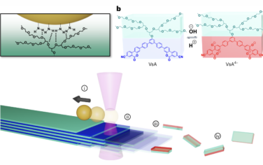 Nature Nanotechnology：通過定向分解微晶纖維在流體中施加拉力