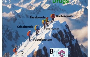 Chem. Rev.：含硼化合物的合成、藥物化學和新興藥理學