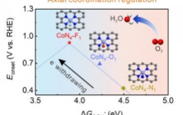 ACS Nano：軸向改進的方形棱錐形CoN4?F1位點實現高性能鋅?空氣電池