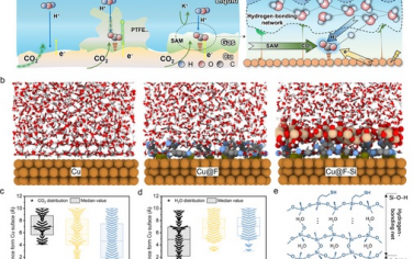 華中科技大學&西安交大Adv Mater：自組裝單層重構氫鍵網絡增強電催化CO2還原