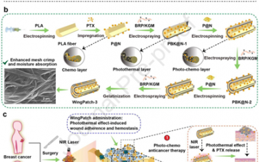Biomaterials：仿蝴蝶翅膀的光活性納米纖維貼片用于晚期術后腫瘤治療