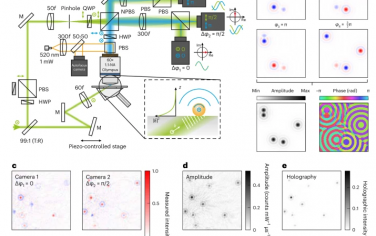 Nature Photonics：?jiǎn)蔚鞍踪|(zhì)光學(xué)全息術(shù)