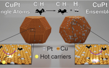JACS：稀銅鉑合金單原子位點的等離激元電荷局域與C–H鍵活化