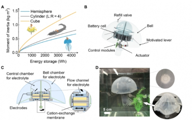 Science Advances：水系電池在高容量水母機器人中的多功能用途