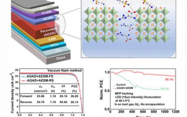 AFM：分子間相互作用誘導晶界多缺陷協同均勻鈍化實現高性能倒置鈣鈦礦太陽能電池