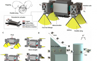 Science Advances：仿生多運動模態水下微型機器人