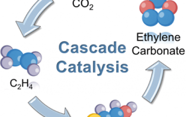 蘇州大學JACS：CO2作為唯一碳原料合成乙烯碳酸酯