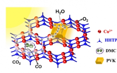 JACS：可控集成雙核金屬中心和光敏劑的大面積導電MOF超薄膜促進以H2O為電子給體的光催化還原CO2