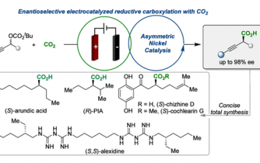 余達剛JACS：Ni電催化炔基碳酸酯和CO2合成炔丙基羧酸