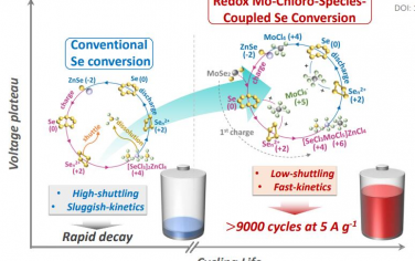EES：氧化還原鉬-氯物種在低腐蝕離子液體中耦合Se氧化轉化用于快速動力學和耐用鋅電池