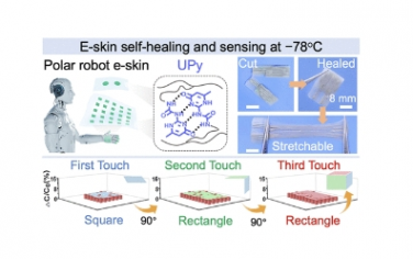 JACS：用于極地探索的 -78 °C 高度可拉伸、自我修復和敏感的電子皮膚