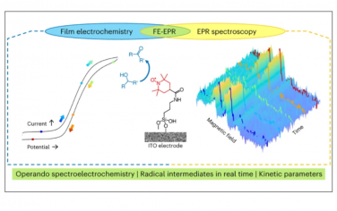 Nature Chemistry：薄膜電化學(xué)EPR光譜跟蹤表面固定催化劑中的自由基中間體