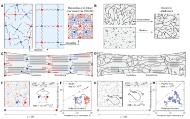 Science Advances：具有超高應變誘導結晶的彈性體