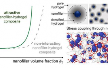 ACS Nano：局部機制控制納米填料-水凝膠復合材料的整體增強