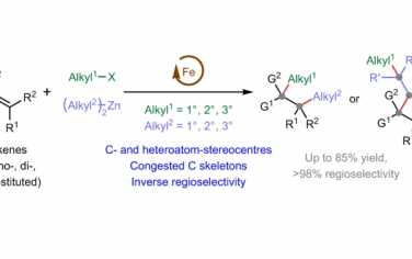 Nature Catalysis：Fe催化烯烴構筑結構擁擠的兩個共軛手性中心