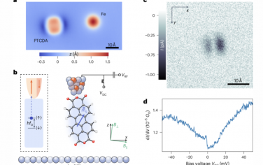 Nature Nanotechnology：原子尺度電場和磁場的量子傳感器