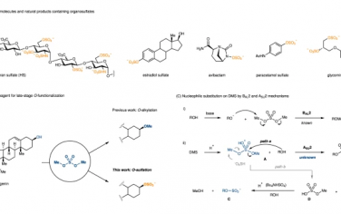 Nature Communications：硫酸二甲酯和硫酸二異丙酯作為實用和通用的O-硫酸化試劑