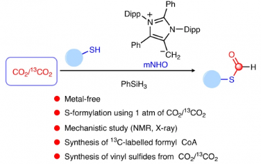 Nature Catalysis：有機催化CO2對硫化物甲酰化
