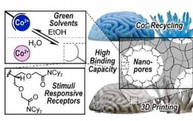 JACS：用于鈷回收的 3D 打印多孔超分子吸附劑