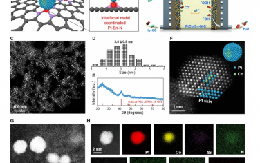 Science Advances：用于實用燃料電池的界面金屬配位雙功能PtCo