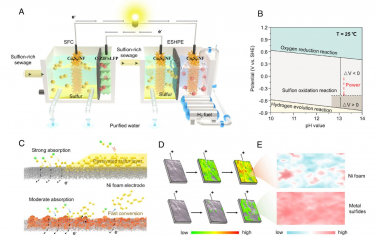 PNAS：基于廢鋰離子電池高效催化劑的硫氧化輔助自供電制氫系統