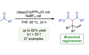 Angew Chem：Co(I)催化烯丙基烷基化