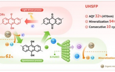 中山大學Adv Mater：氧中心有機自由基自芬頓氧化降解有機污染物