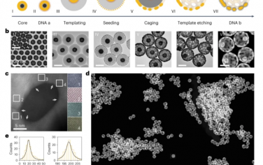 Nature Nanotechnology：帶有DNA離合器的磁力納米機器