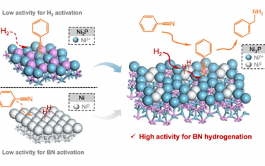 清華大學JACS：Ni3P構筑構筑Ni0–Niδ+原子對用于催化氰苯加氫