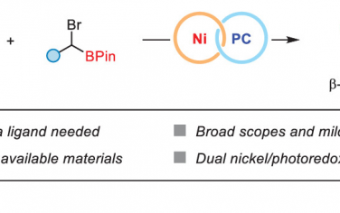 ACS Catal：Ni-光協同催化活化α-C-H鍵和C(sp3)-C(sp3)偶聯合成β-氨基硼酸酯