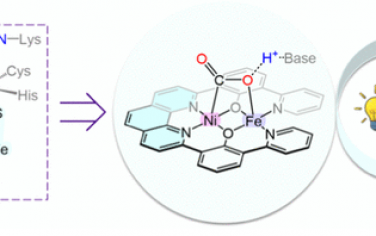 清華大學JACS：NiFe雜核雙原子擬酶光催化還原CO2