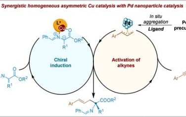 上海有機化學研究所JACS：Cu均相催化劑-Pd納米粒子協同進行炔烴-醛亞胺酯偶聯