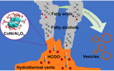 JACS：Co-Ni催化甲酸鹽水熱合成長鏈羧酸（C3-C7）化合物
