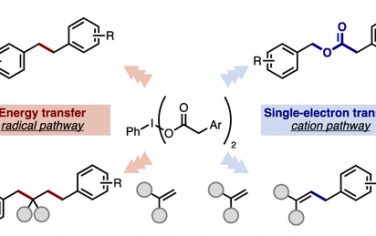 JACS：能量轉移or電子轉移光催化脫羧