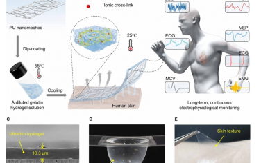 Science Advances：用于長期電生理監(jiān)測的10微米厚納米網(wǎng)格增強透氣性水凝膠皮膚傳感器