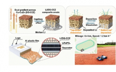 ACS Nano：通過雙梯度多孔 CuCuZn 主體設計高性能鋰金屬電池