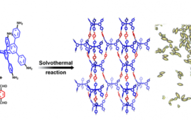 JACS：由六連三角棱柱節點構建的單晶三維共價有機框架