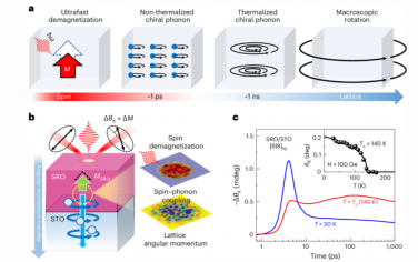 Nature Nanotechnology：氧化物異質結構中從自旋到聲學手性聲子角動量轉化的實時動力學