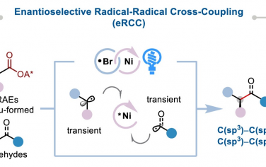 廈門大學(xué)JACS：金屬光催化C-C烷基立體選擇性自由基交叉偶聯(lián)
