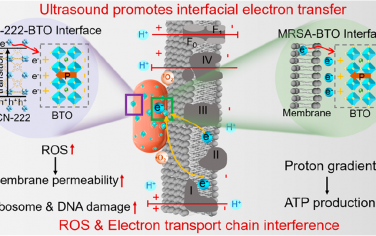 ACS Nano：超聲誘導的非生物和生物界面電子傳遞以實現有效的細菌感染治療